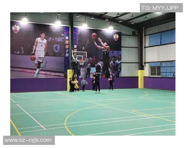 羽毛球传奇刘磊的成长之路与职业生涯回顾