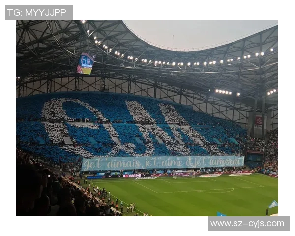 赛季收官回顾谁在法甲中杀出重围谁遗憾离场