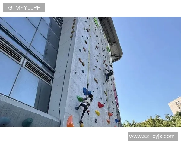 杭州攀岩队如何通过比赛经验变革提升竞技水平与团队协作能力